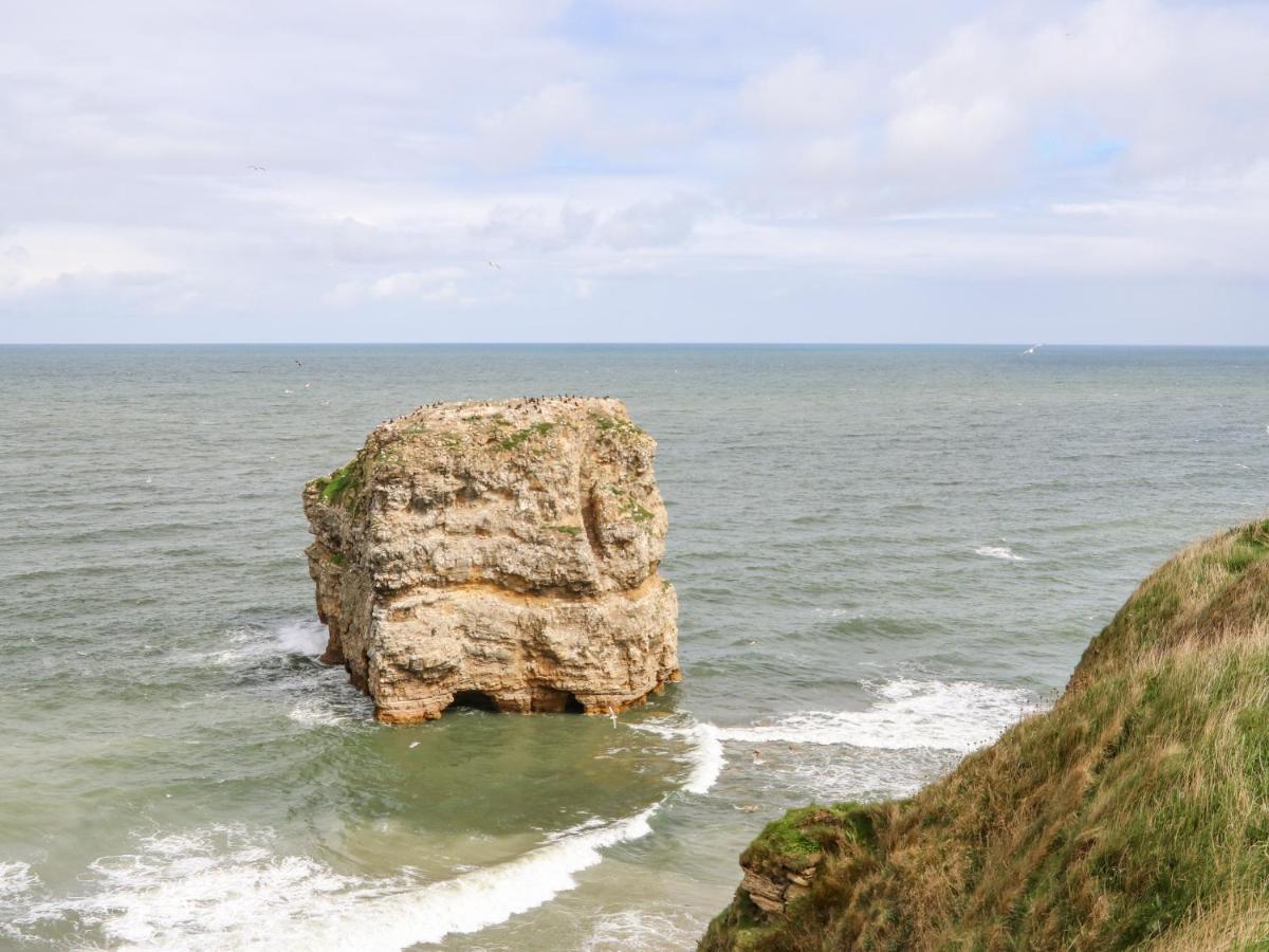 Sea View Cottage South Shields Ngoại thất bức ảnh